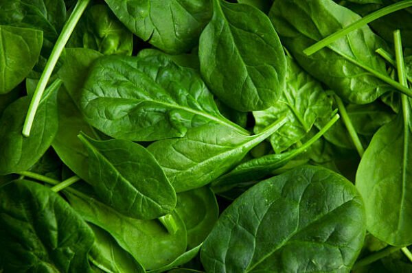 Spinach alternative for raisin bran