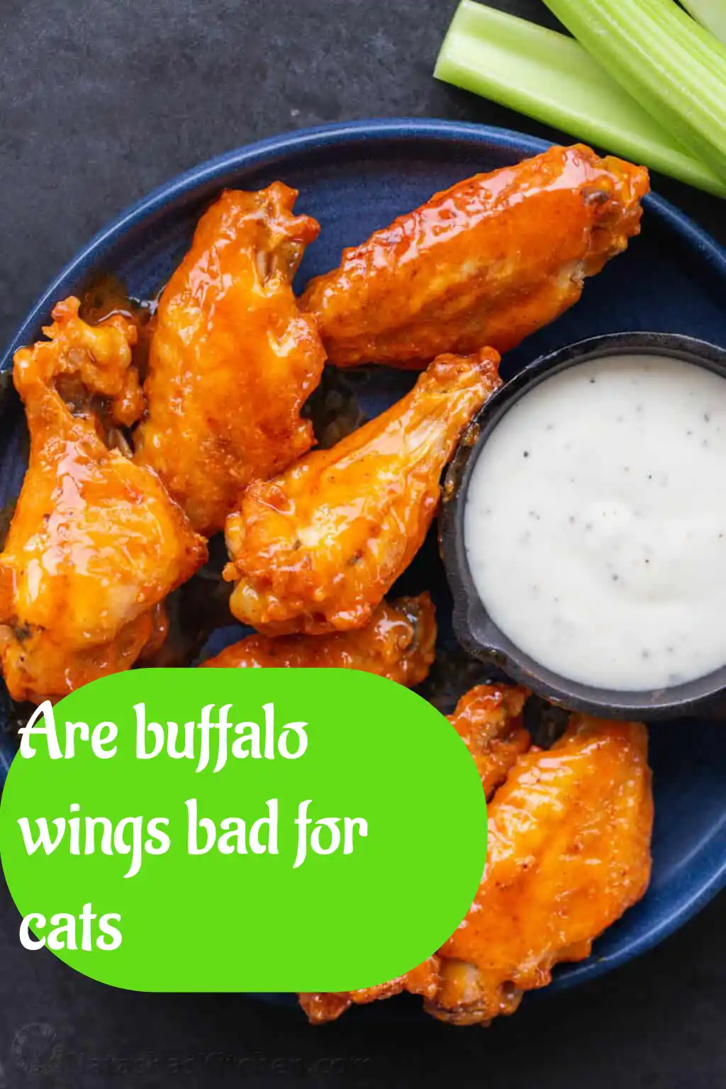 are buffalo wings bad for cats