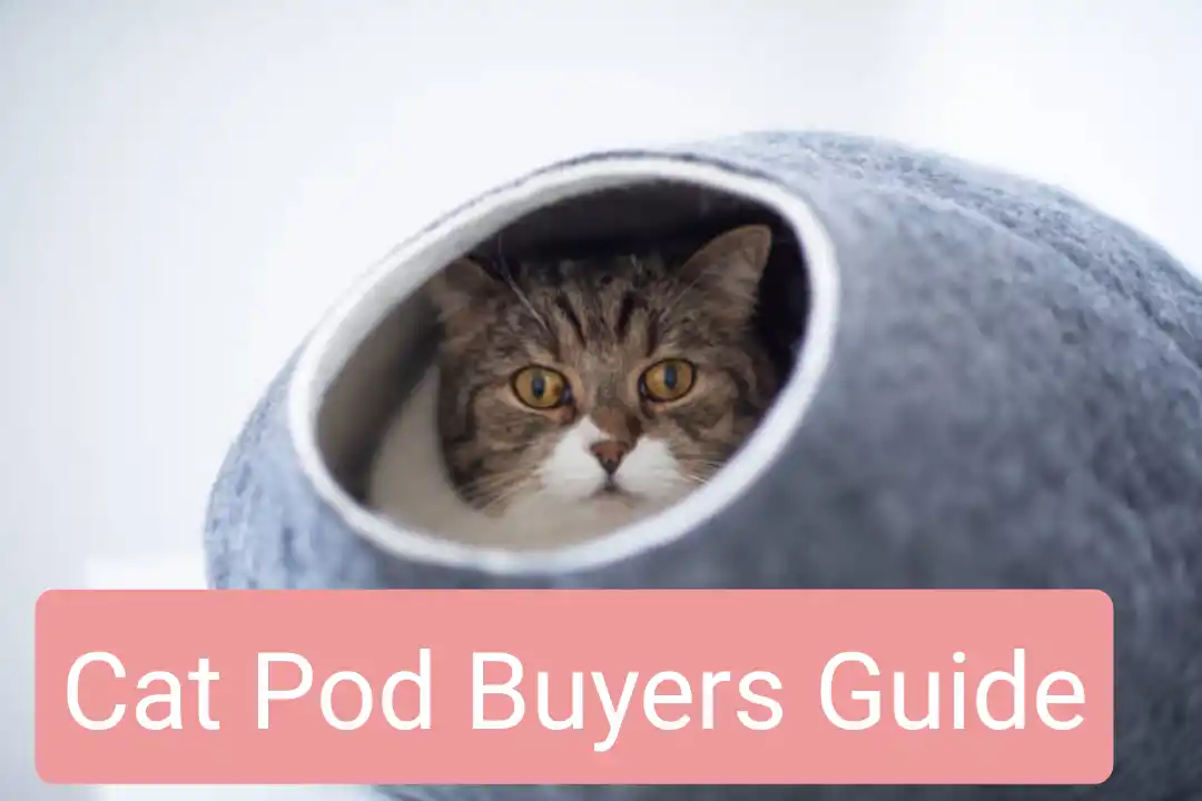 Cat Pods Buyers Guide - Choosing The Best Cat Pod