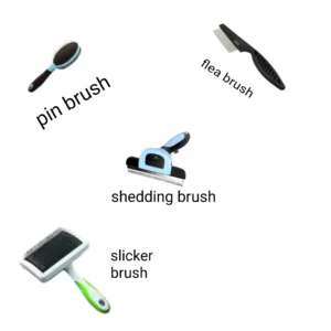 types of cat brush infographic