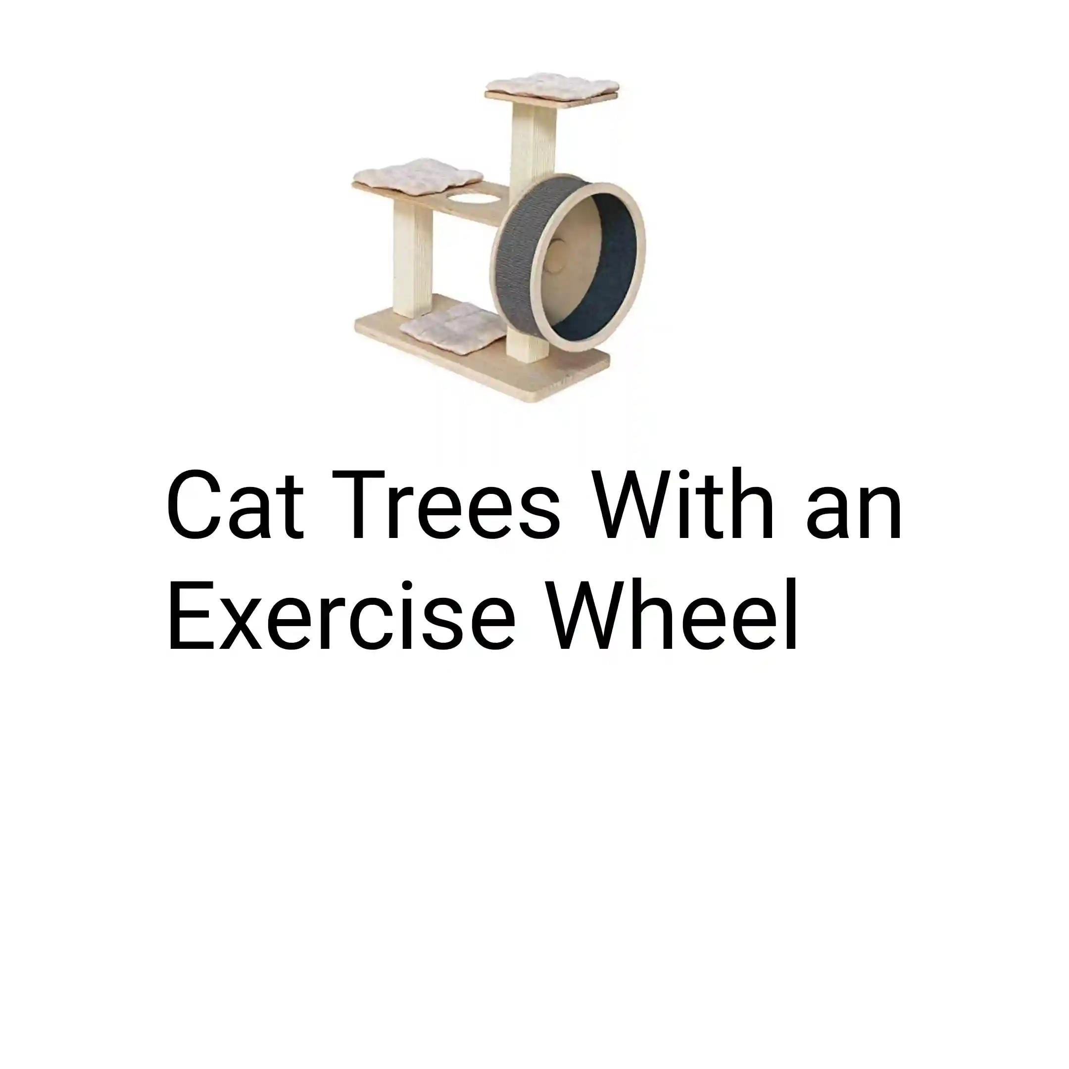 Cat Trees With an Exercise Wheel