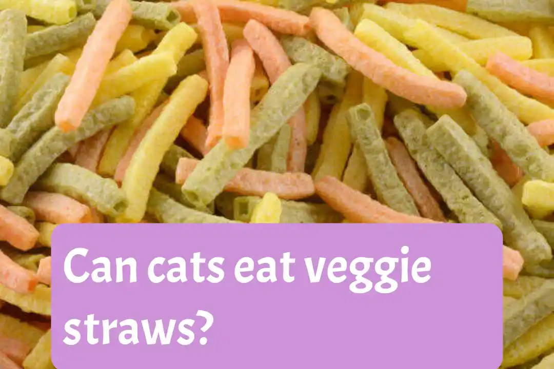 Can Cats Eat Veggie Straws