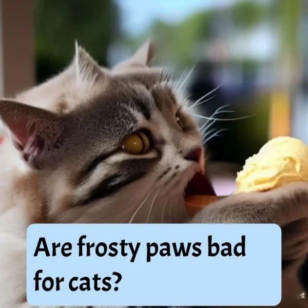 Are frosty paws bad for cats?