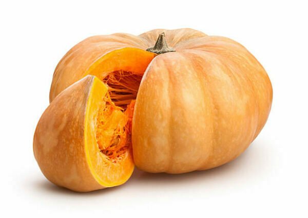 What do cats eat? Pumpkin 