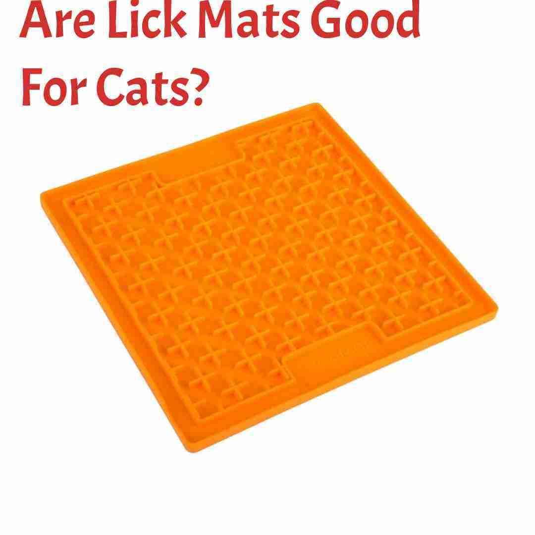 What's a Lick Mat & Does It Help Cats? Pros, Cons & FAQ - Catster