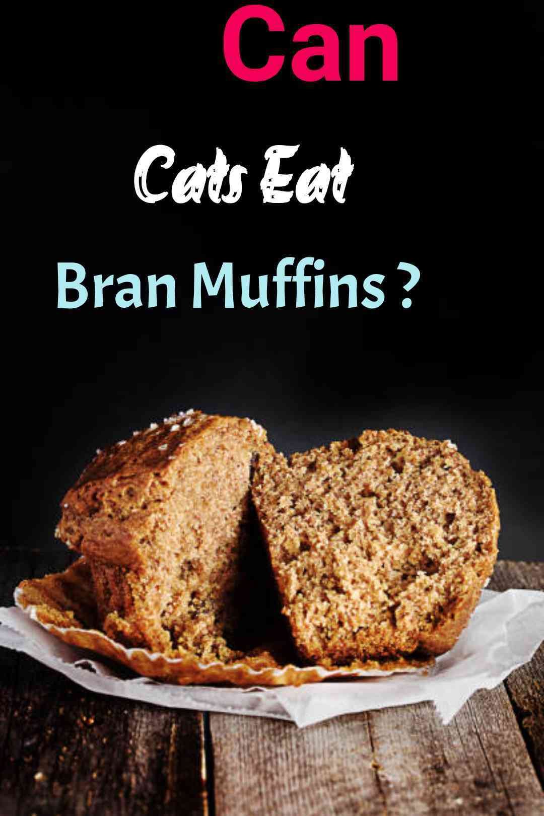 Can Cats Eat Bran Muffins?