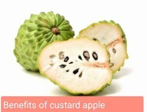 Can cats have custard apple?