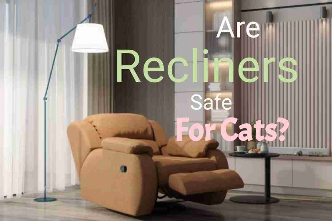 How To Keep Cats Out Of Recliners