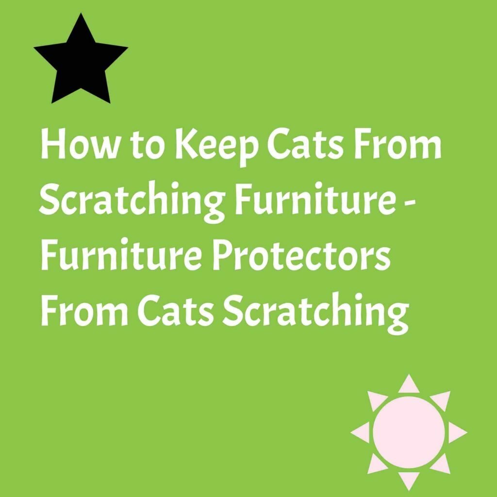 How To Keep Cats From Scratching Furniture - 6 Things You Should Know ...