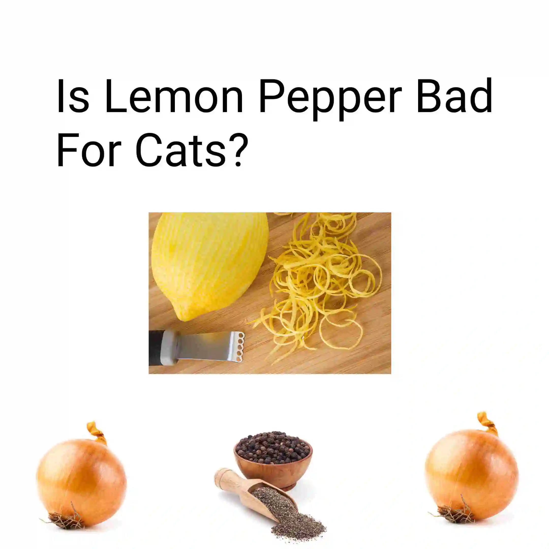 Is Lemon Pepper Bad For Cats?