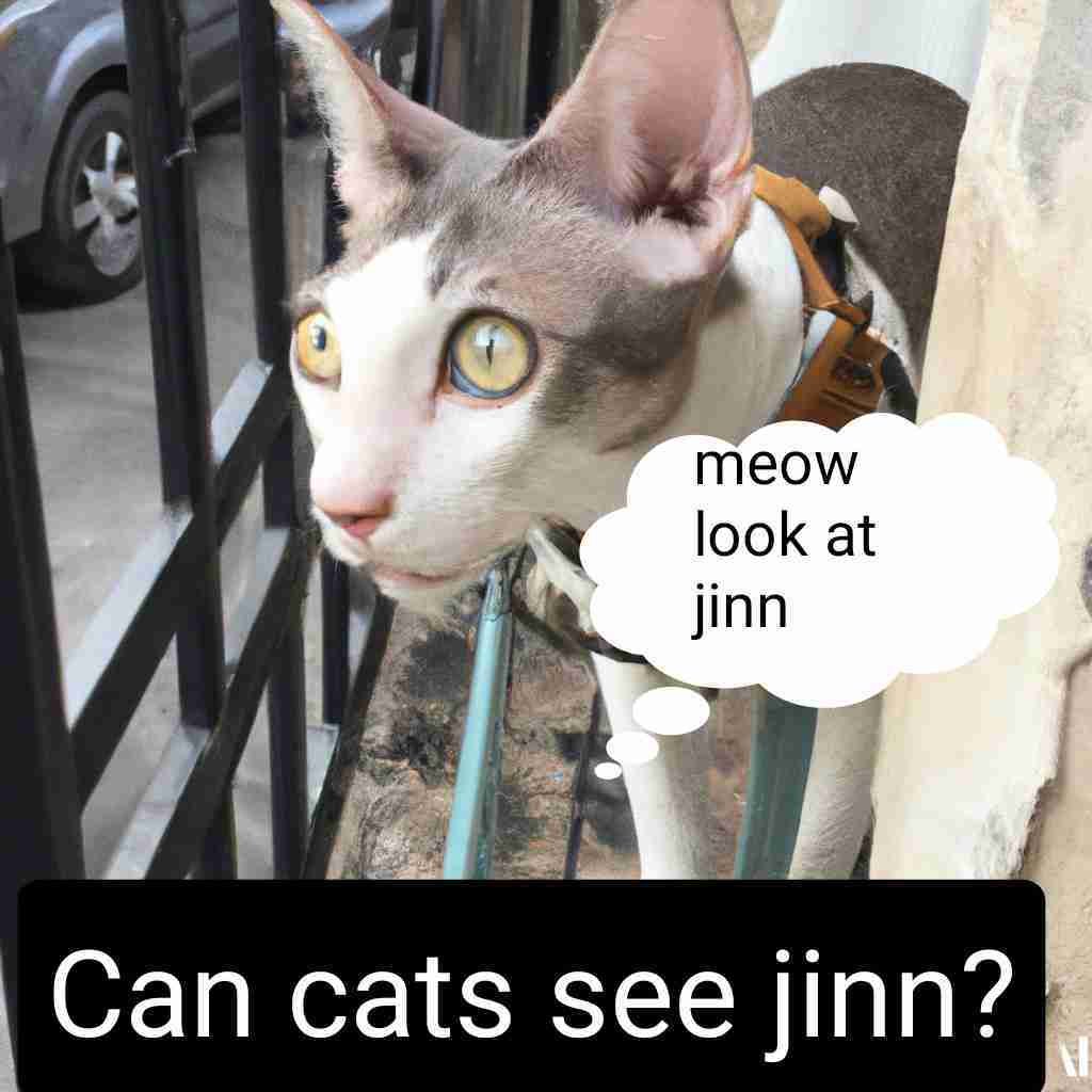 Can cats see jinn