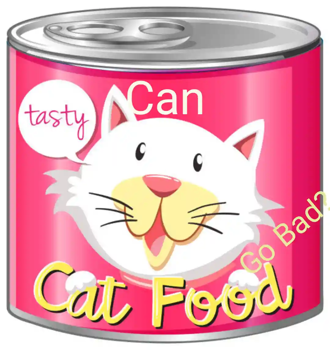 Does Canned Cat Food Go Bad In Heat All About Cats