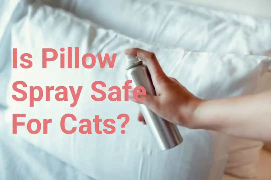 Is Pillow Spray Safe For Cats?