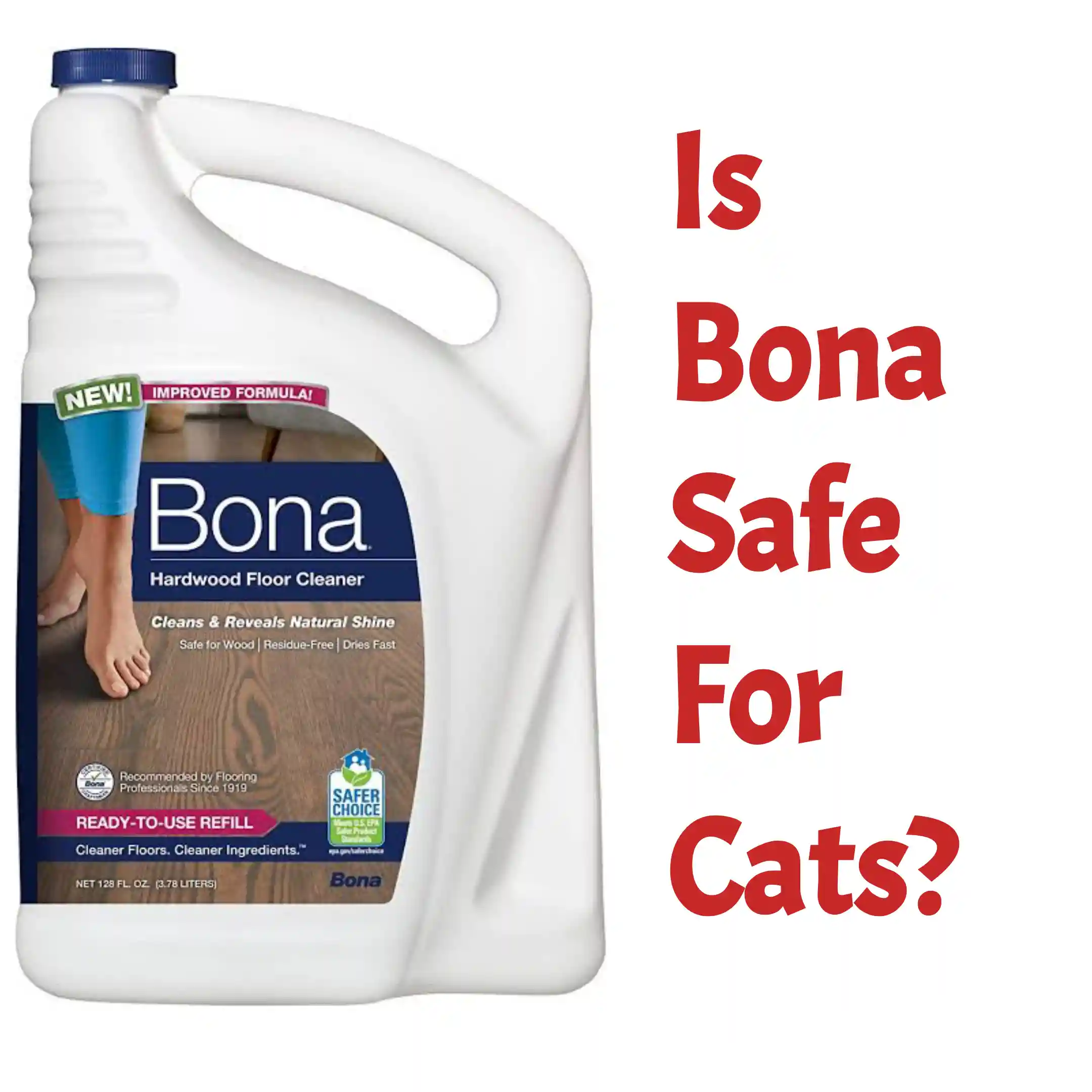 is bona safe for cats?