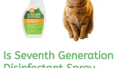 Is Seventh Generation Disinfectant Spray Safe For Cats?