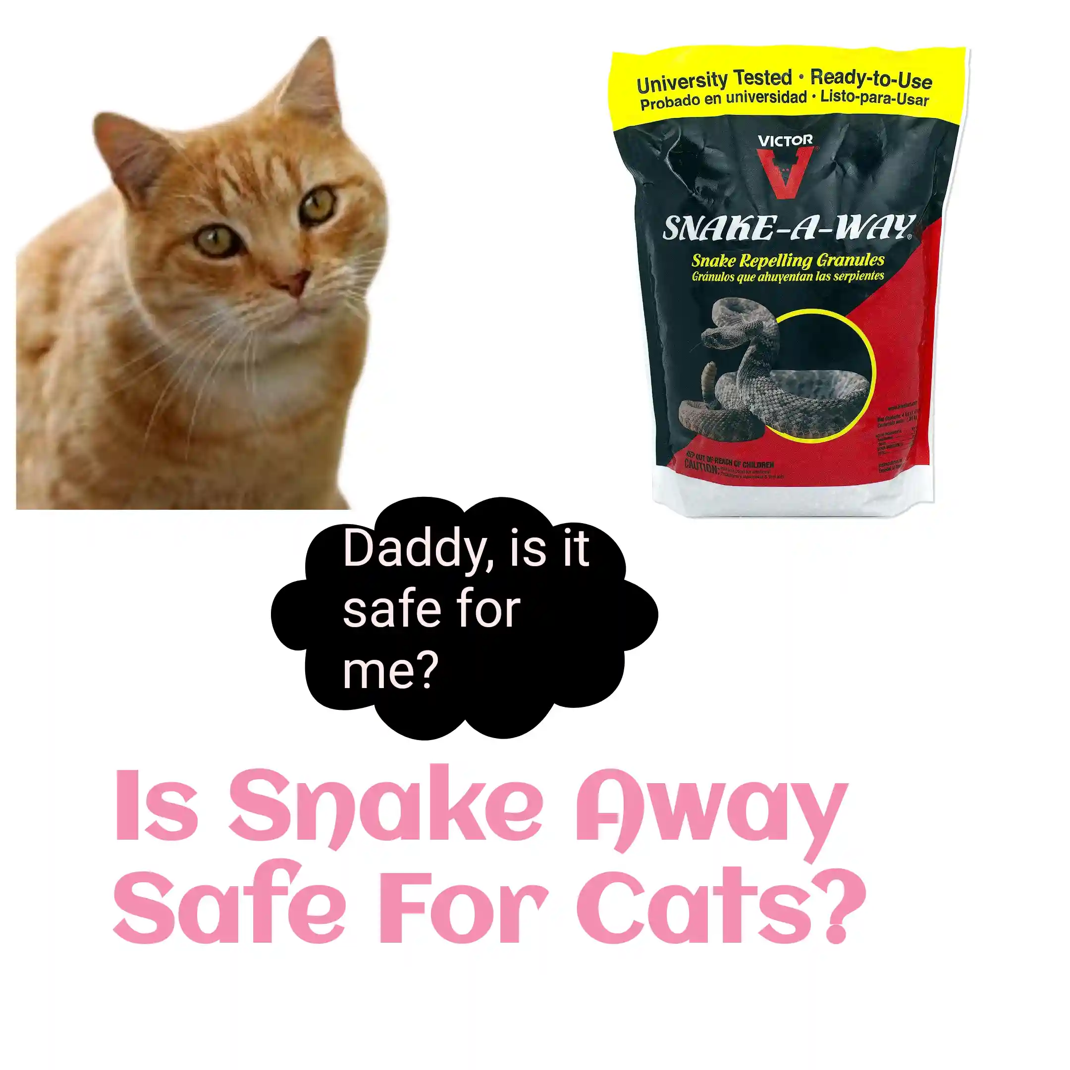 Is Snake Away Safe For Cats?