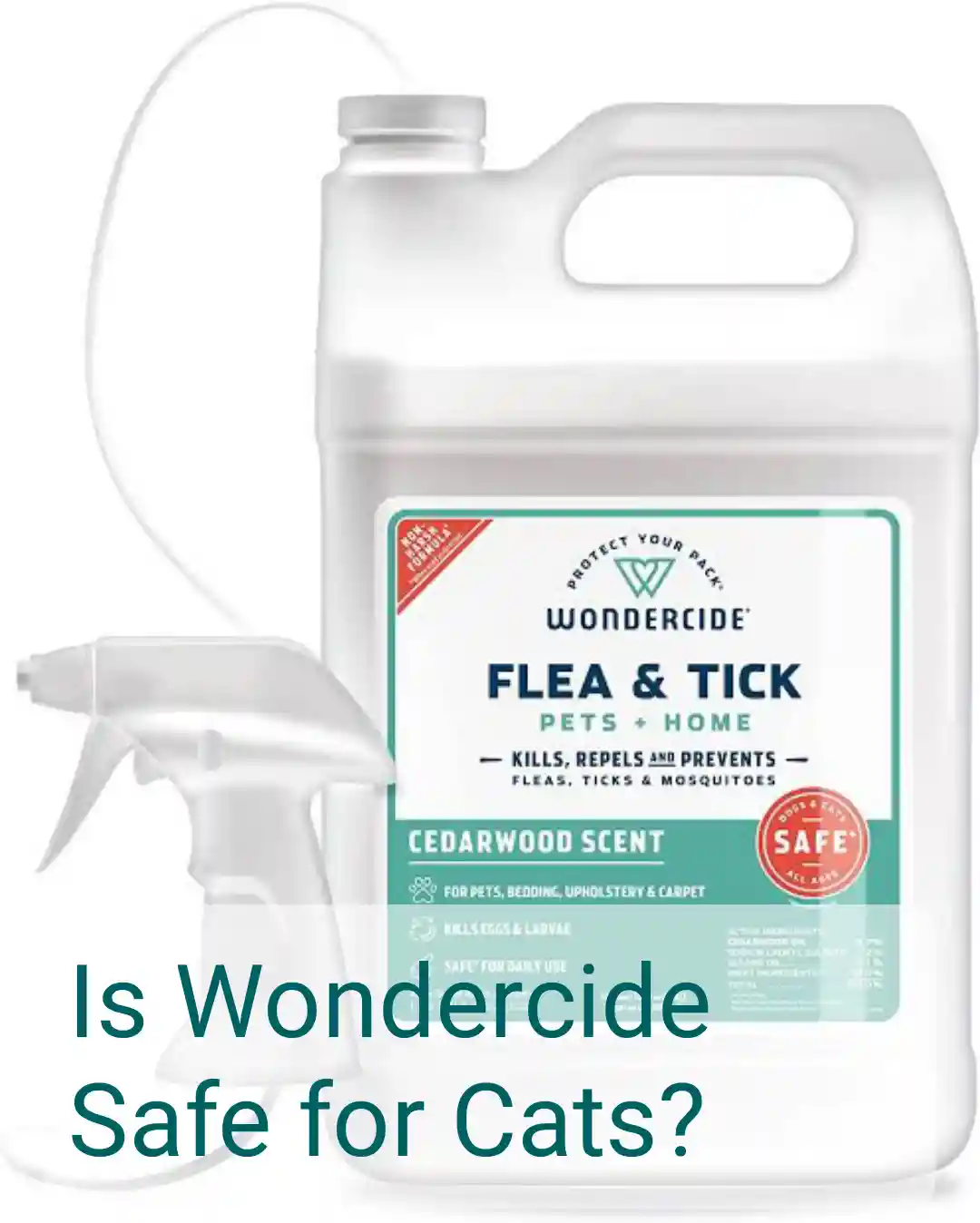 Is Wondercide Safe for Cats?