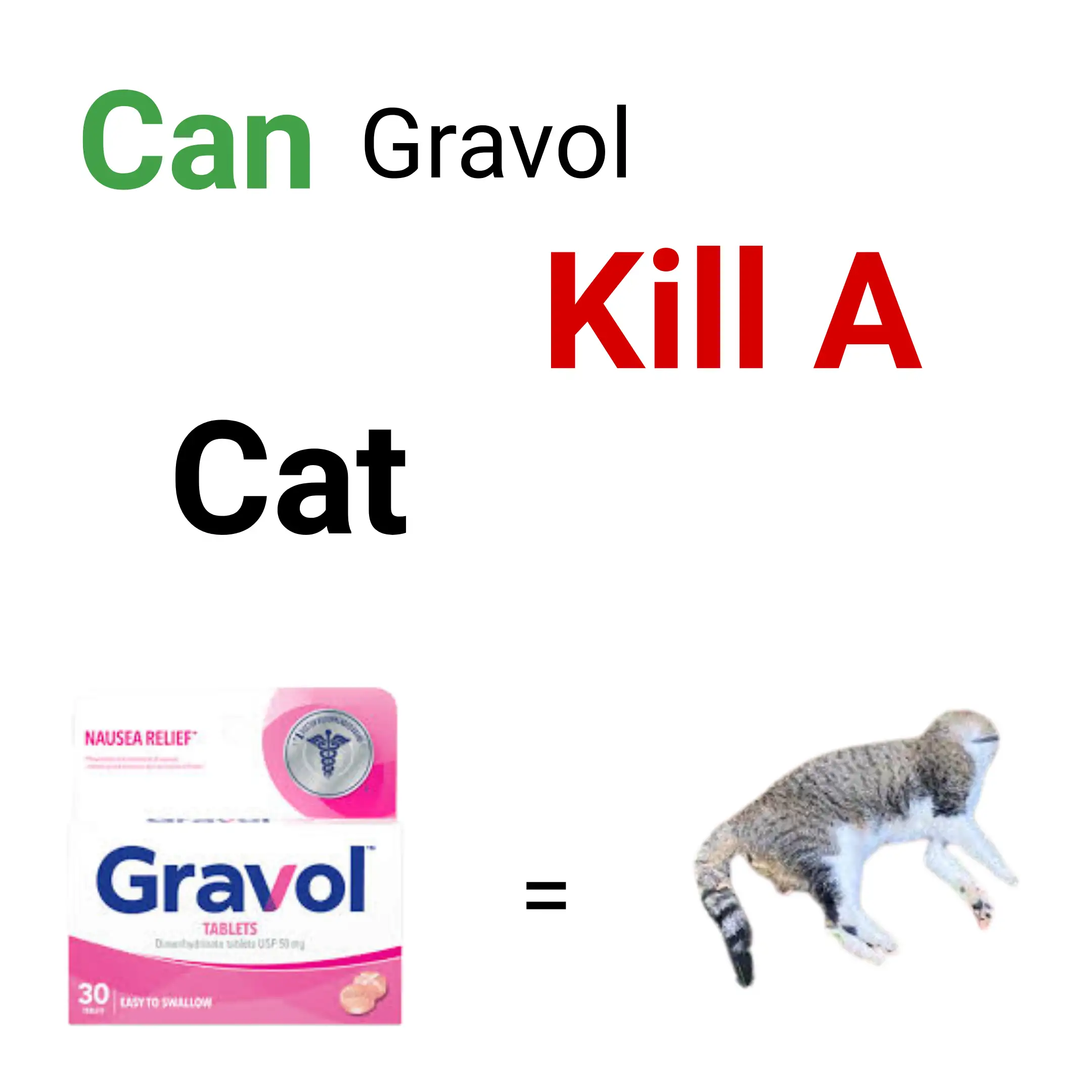 Can Gravol Kill A Cat?