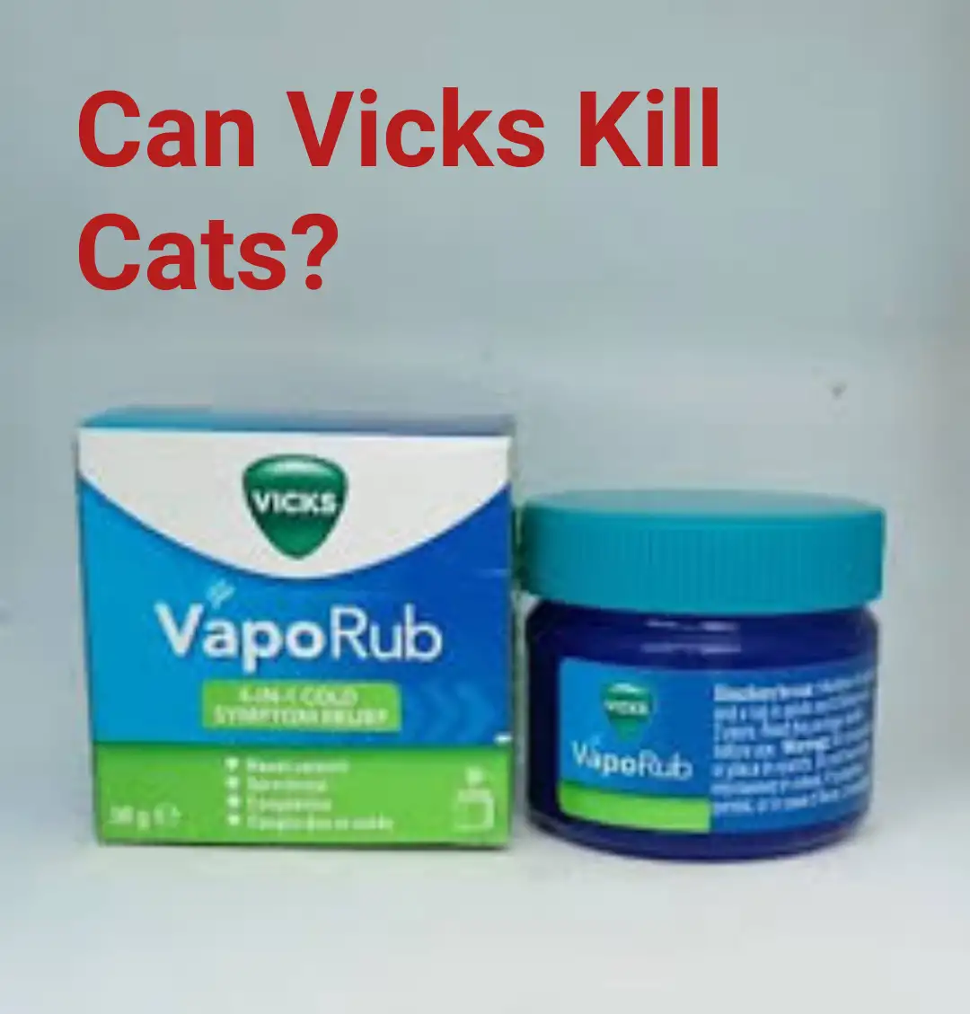 Can Vicks Kill Cats?