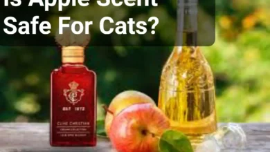 Is Apple Scent Safe For Cats?