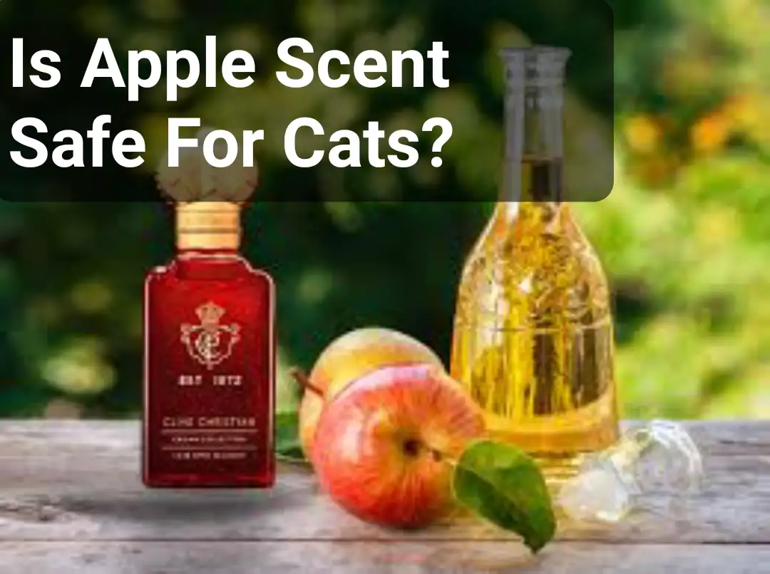 Is Apple Scent Safe For Cats?