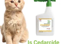 Is Cedarcide Safe For Cats?