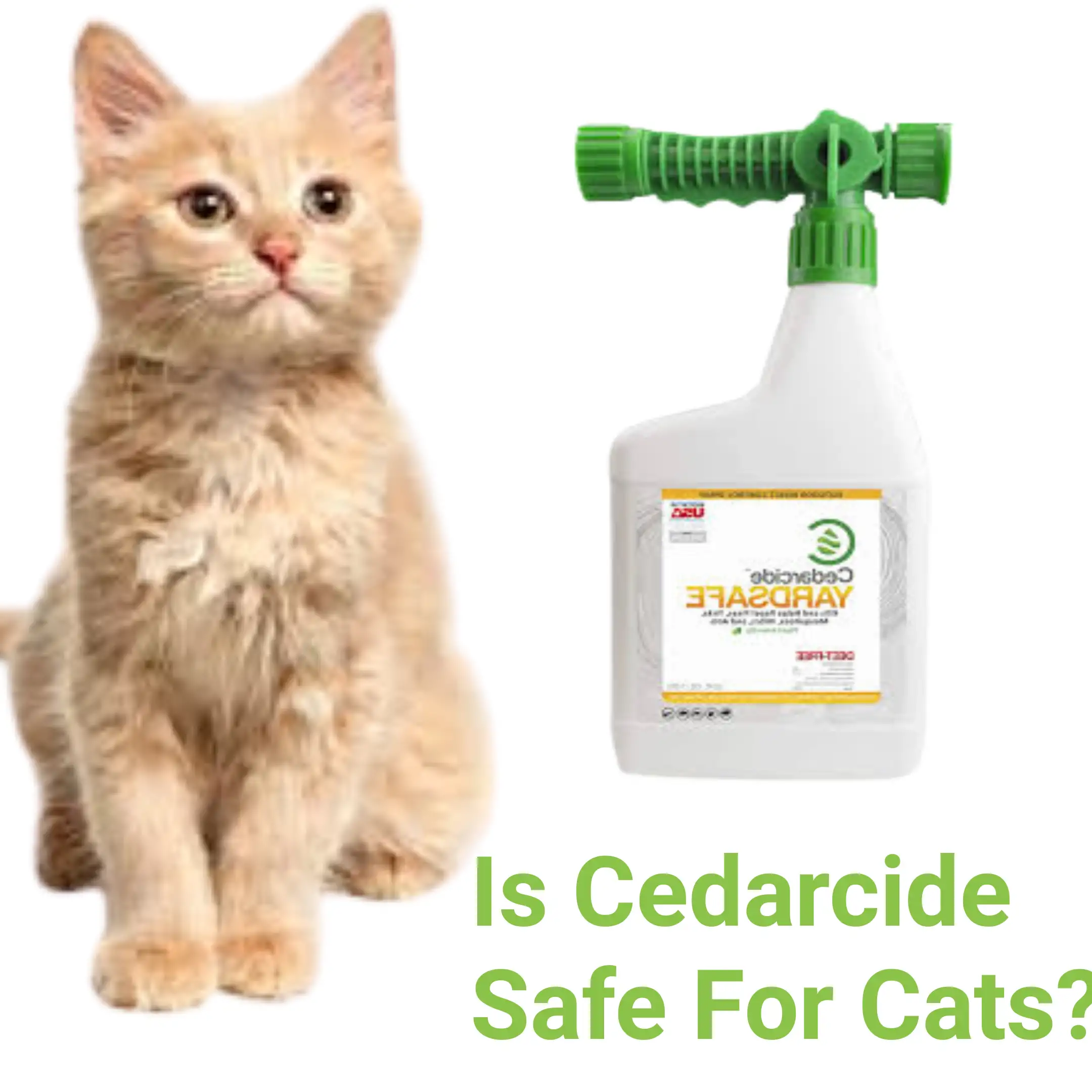 Is Cedarcide Safe For Cats?