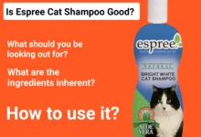Is Espree Cat Shampoo Good?