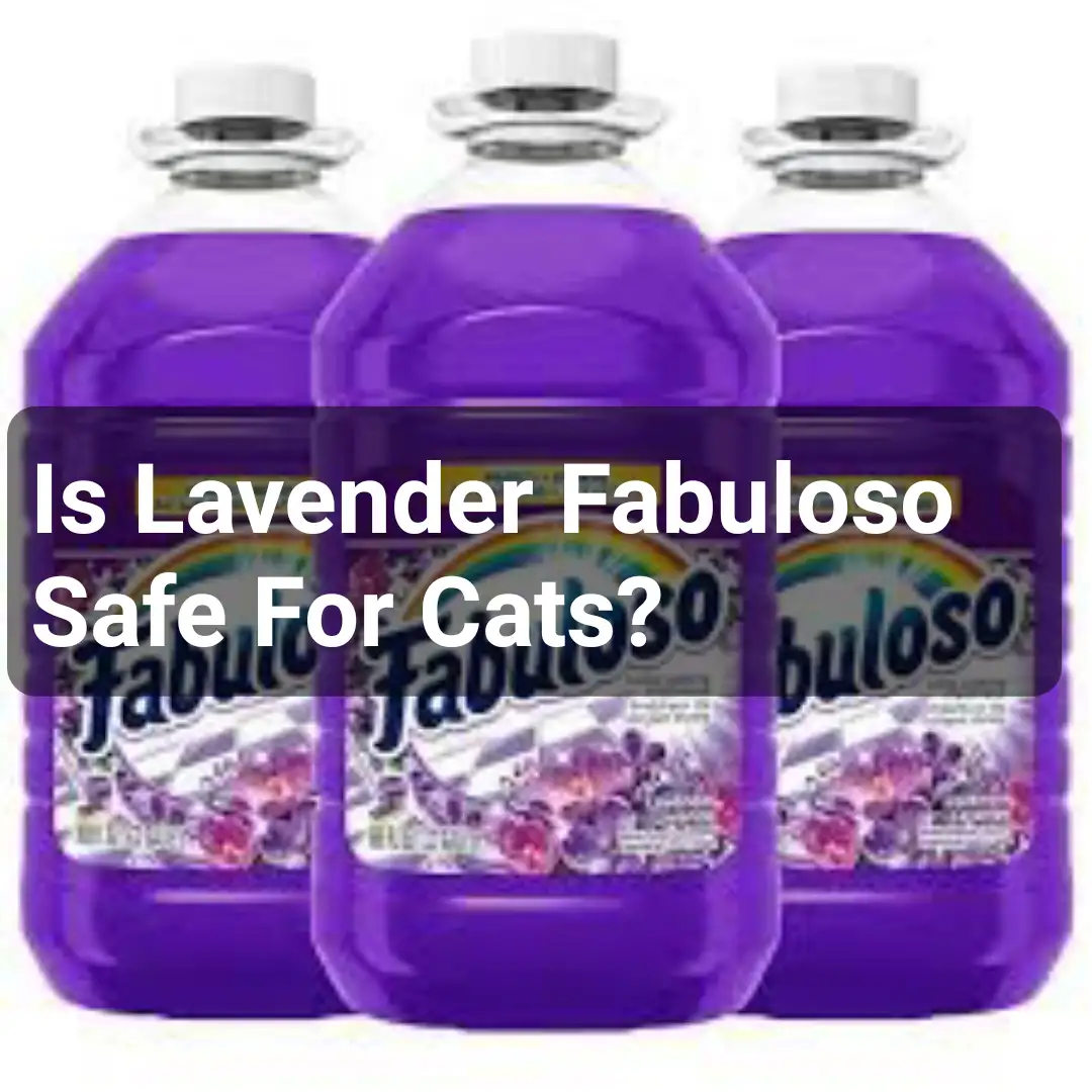 Is Lavender Fabuloso Safe For Cats?