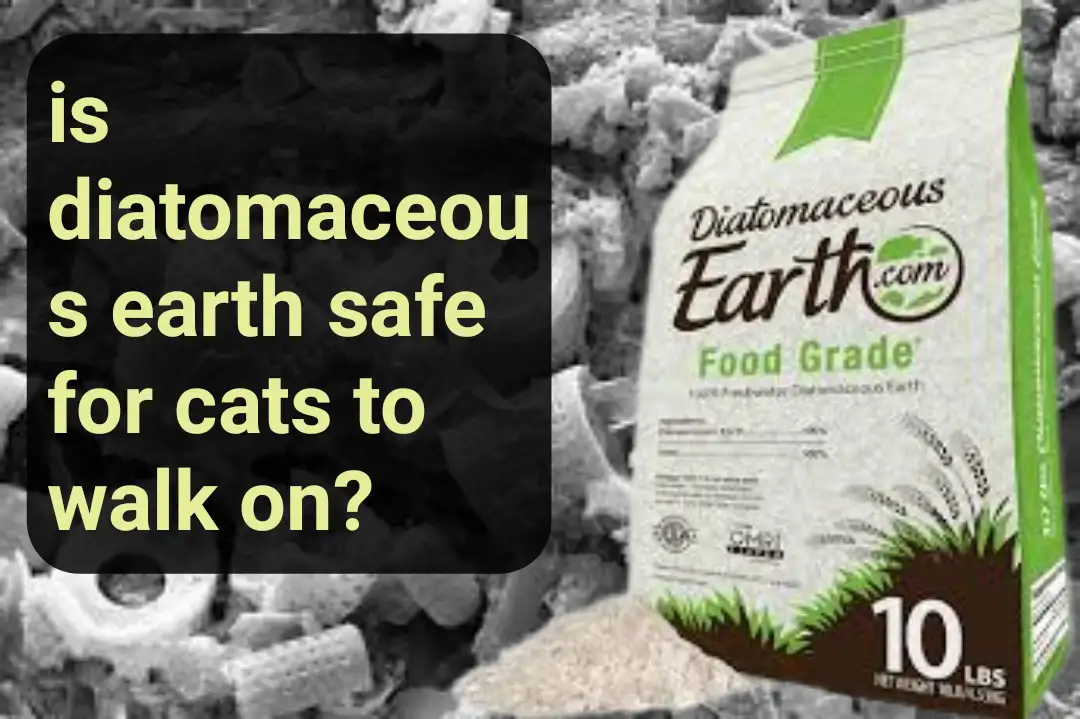 is diatomaceous earth safe for cats to walk on?